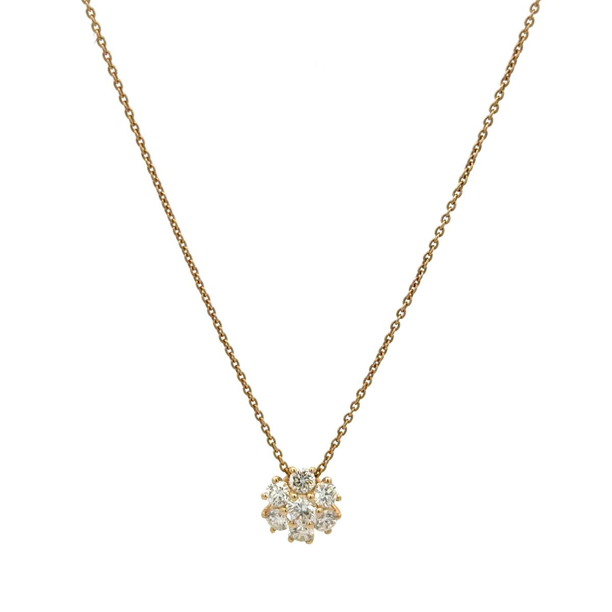 Collar Flora